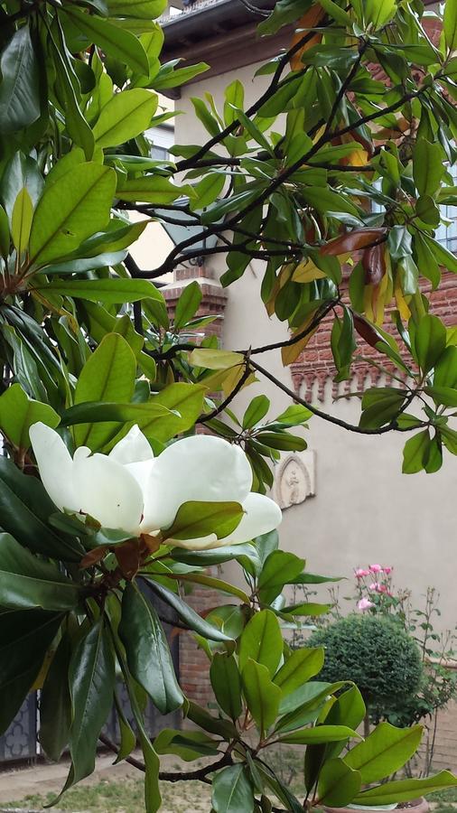 B&B San Martino Mede 외부 사진